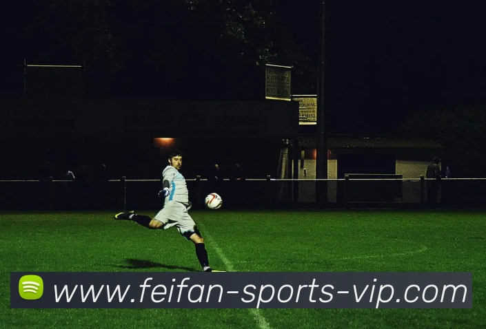 非凡体育平台生态图